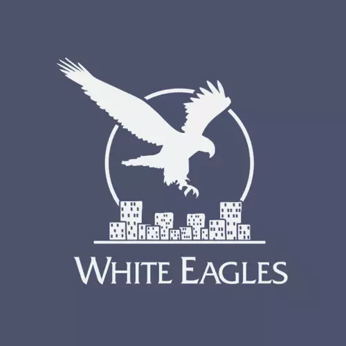 White Eagles & Co.: сайты и Google Ads в Братиславе — IT / Программирование, Братислава