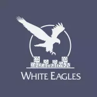 White Eagles & Co.: сайты и Google Ads в Братиславе