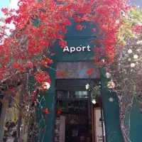 Aport
