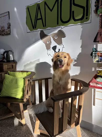 VAMOS