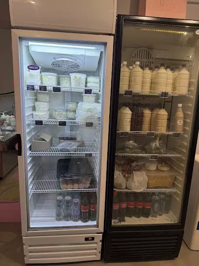 Gastronom1